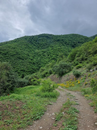 Vahanavank Monastery and Halidzor Fortress